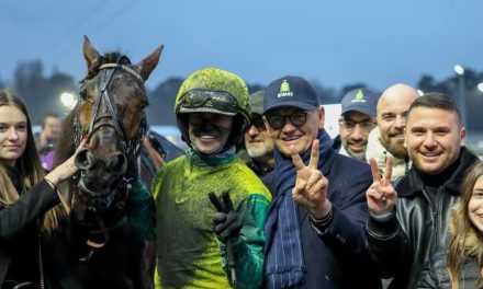 Golden Gio: il cavallo più chiacchierato del momento entra nella scuderia Zacon Gio del gentleman Giuseppe Franco!