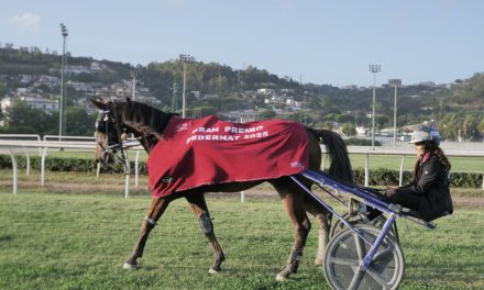 UFFICIALE: Il Gran Premio FEDERNAT – Memorial Cesare Meli 2026 si correrà a Treviso il 13 settembre!