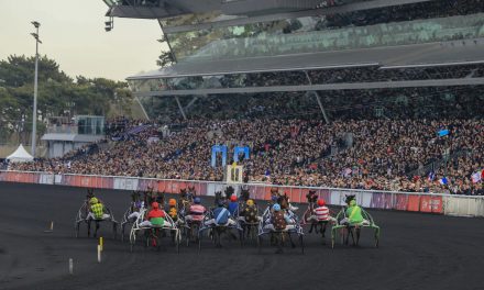 Verso Parigi: Matteo Zaccherini tra i “Magnifici 11” del Prix D’Amérique Amateur Race